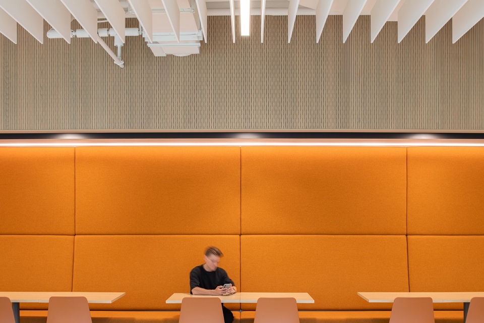 The Emergence of the Campus